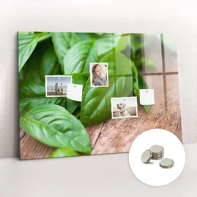 Magnetic wall board with basil leaves design