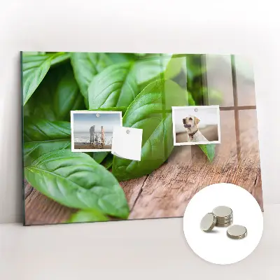 Magnetic wall board with basil leaves design