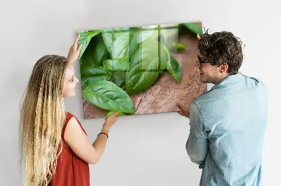 Magnetic wall board with basil leaves design