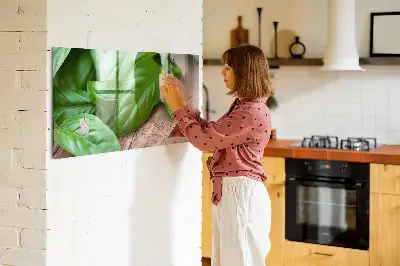 Magnetic wall board with basil leaves design