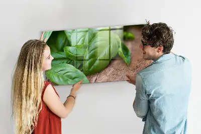 Magnetic wall board with basil leaves design