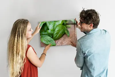 Magnetic wall board with basil leaves design