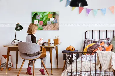 Magnetic wall board with basil leaves design
