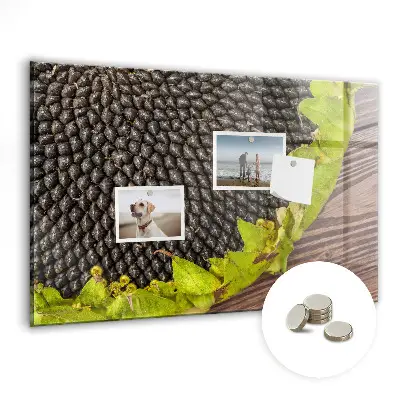 Magnetic wall board Sunflower