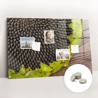 Sunflower magnetic wall board