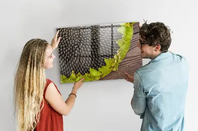 Sunflower magnetic wall board