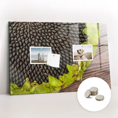Magnetic wall board Sunflower