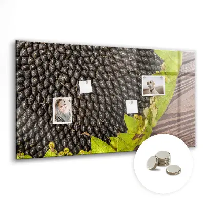 Sunflower magnetic wall board