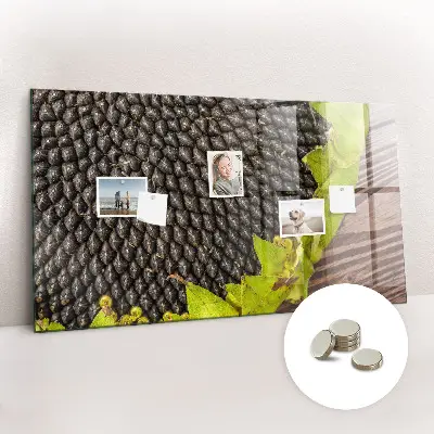 Magnetic wall board Sunflower