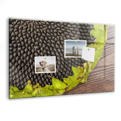 Sunflower magnetic wall board
