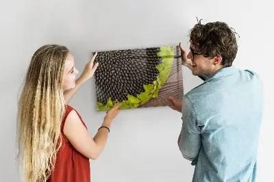 Magnetic wall board Sunflower