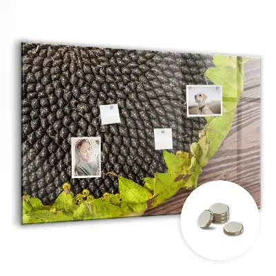 Sunflower magnetic wall board