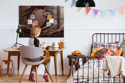 Magnetic wall board Cocoa