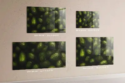 Avocado magnetic memo board
