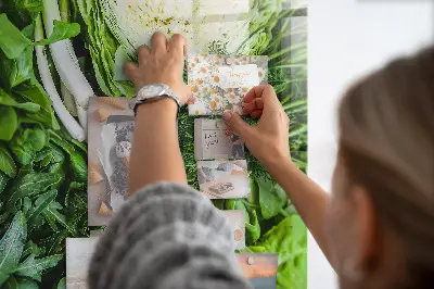 Magnetic wall board Green vegetables