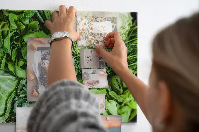 Magnetic wall board Green vegetables