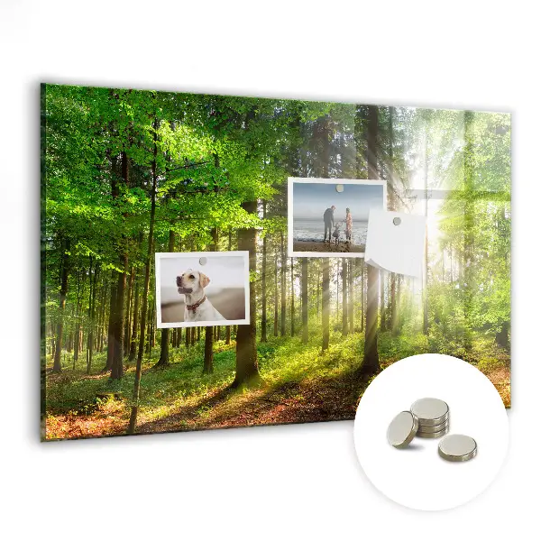 Magnetic glass dry erase board featuring a forest sunrise