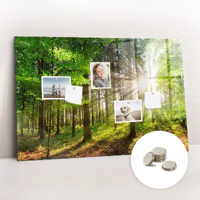 Magnetic glass dry erase board featuring a forest sunrise