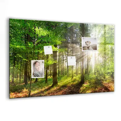 Magnetic glass dry erase board featuring a forest sunrise