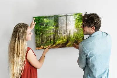 Magnetic glass dry erase board featuring a forest sunrise