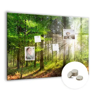 Magnetic glass dry erase board featuring a forest sunrise