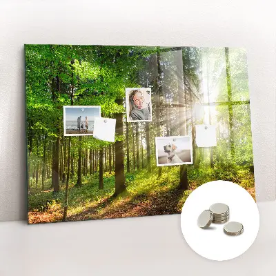 Magnetic glass dry erase board featuring a forest sunrise