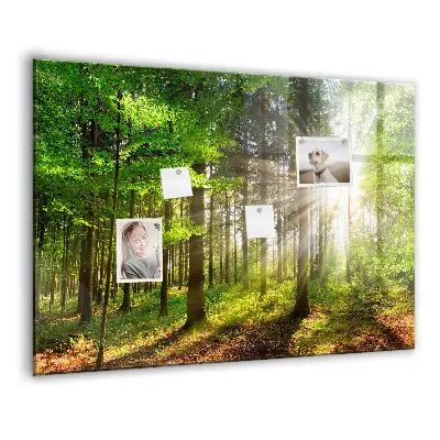 Magnetic glass dry erase board featuring a forest sunrise
