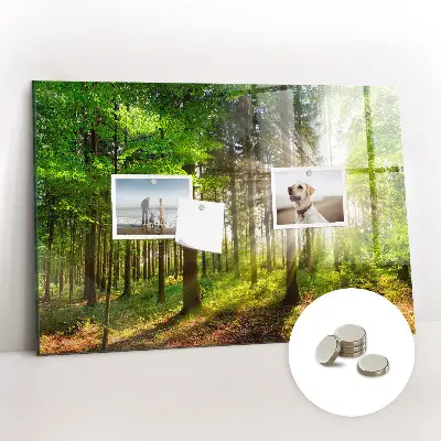 Magnetic glass dry erase board featuring a forest sunrise