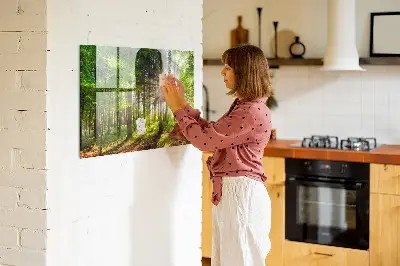 Magnetic glass dry erase board featuring a forest sunrise