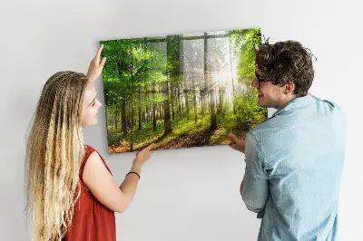 Magnetic glass dry erase board featuring a forest sunrise