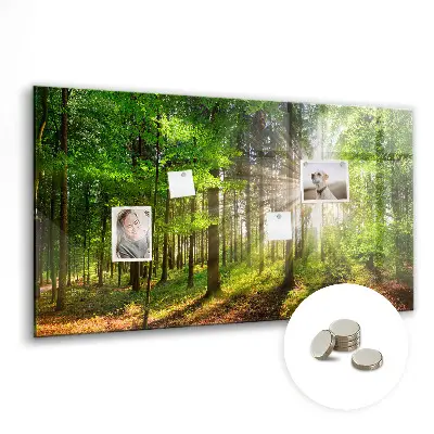 Magnetic glass dry erase board featuring a forest sunrise