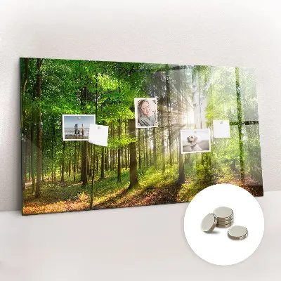 Magnetic glass dry erase board featuring a forest sunrise