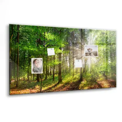 Magnetic glass dry erase board featuring a forest sunrise