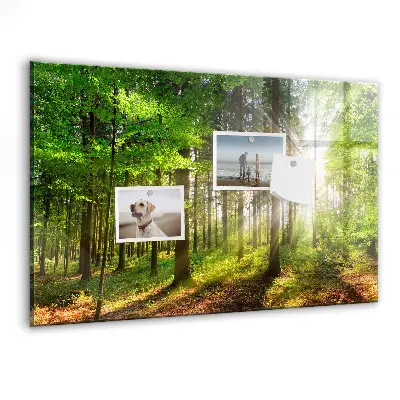 Magnetic glass dry erase board featuring a forest sunrise