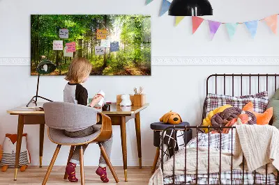 Magnetic glass dry erase board featuring a forest sunrise
