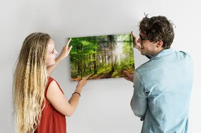 Magnetic glass dry erase board featuring a forest sunrise