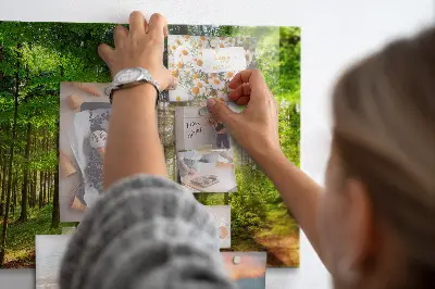 Magnetic glass dry erase board featuring a forest sunrise