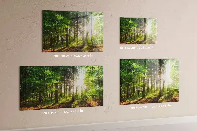 Magnetic glass dry erase board featuring a forest sunrise