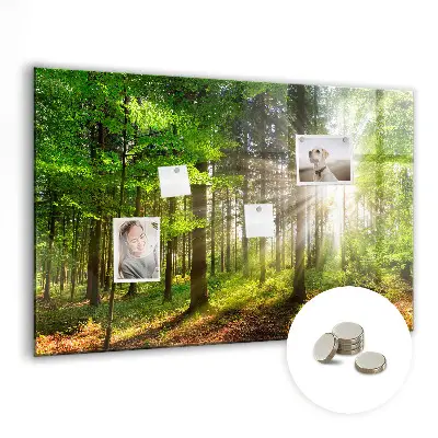 Magnetic glass dry erase board featuring a forest sunrise