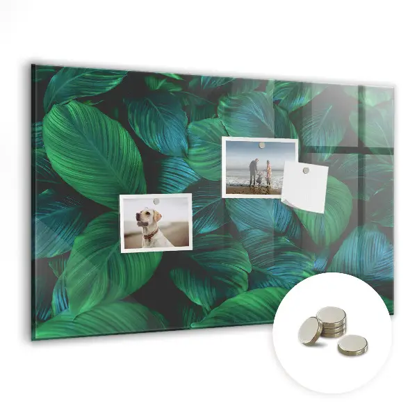 Magnetic wall board Nature leaves