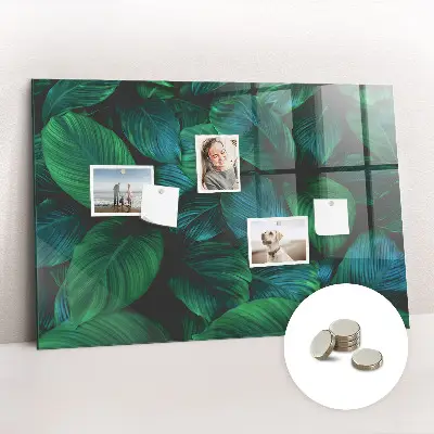 Nature leaves magnetic wall board