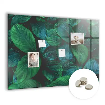 Magnetic wall board Nature leaves