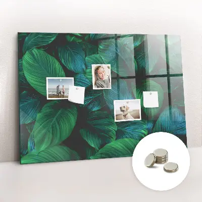 Magnetic wall board Nature leaves