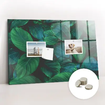 Nature leaves magnetic wall board