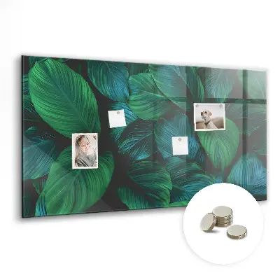 Magnetic wall board Nature leaves