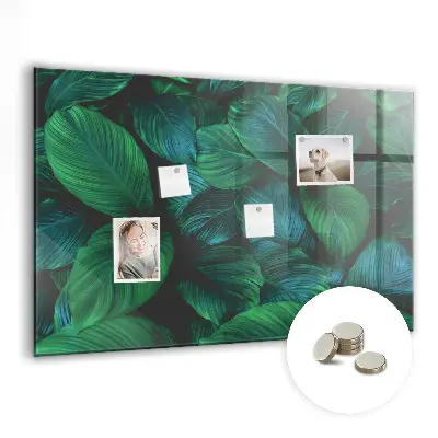 Nature leaves magnetic wall board