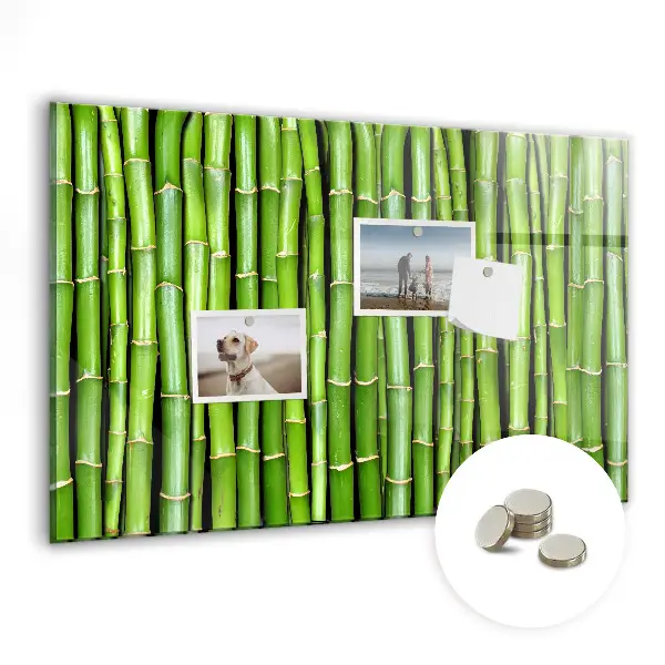 Magnetic glass dry erase board Bamboo wall