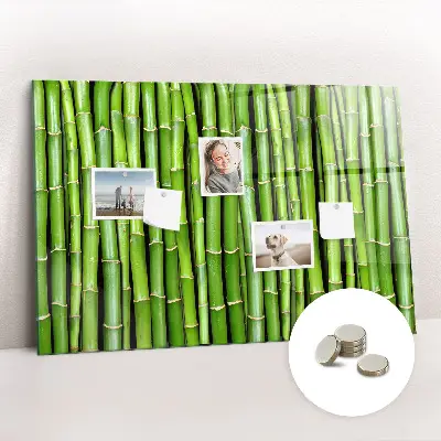 Magnetic glass dry erase board Bamboo wall