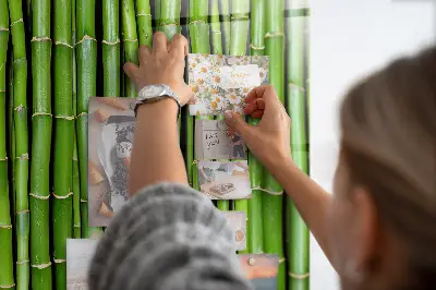 Magnetic glass dry erase board Bamboo wall