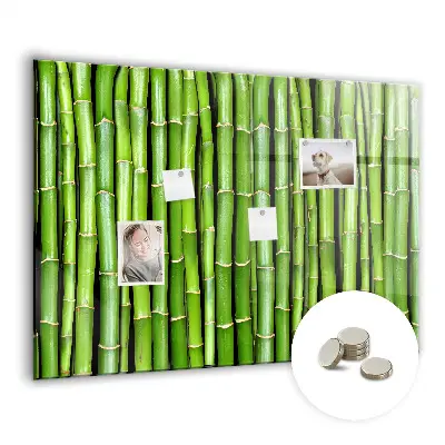 Magnetic glass dry erase board Bamboo wall